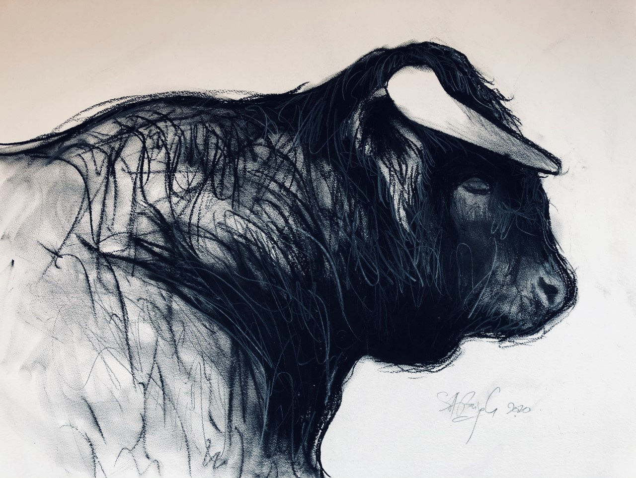 Shabs Beigh, Bull Head Study , 2020