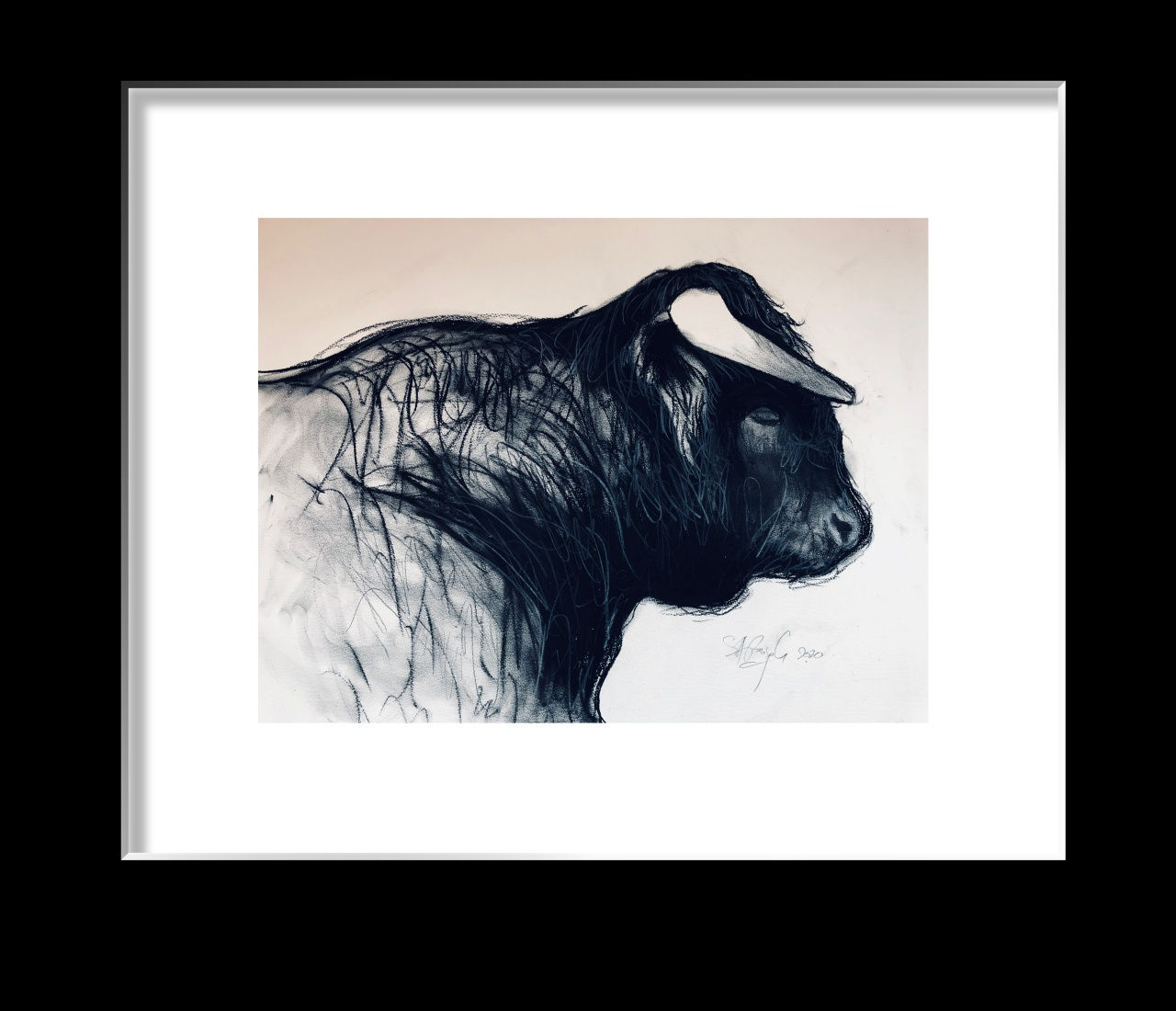 Shabs Beigh, Bull Head Study , 2020