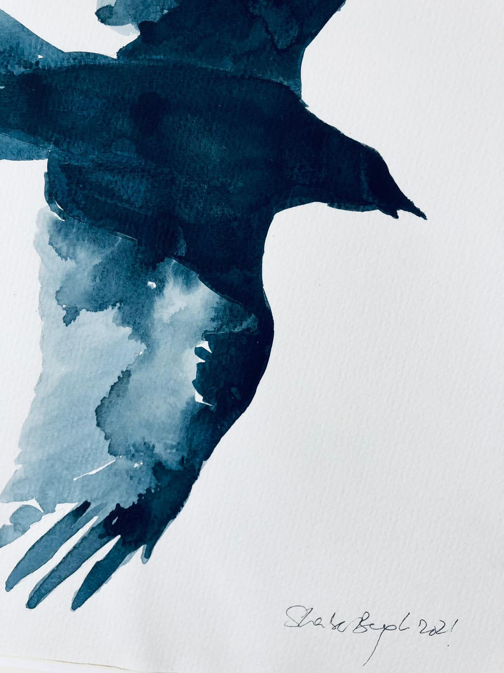 Shabs Beigh, Flight 8, 2021