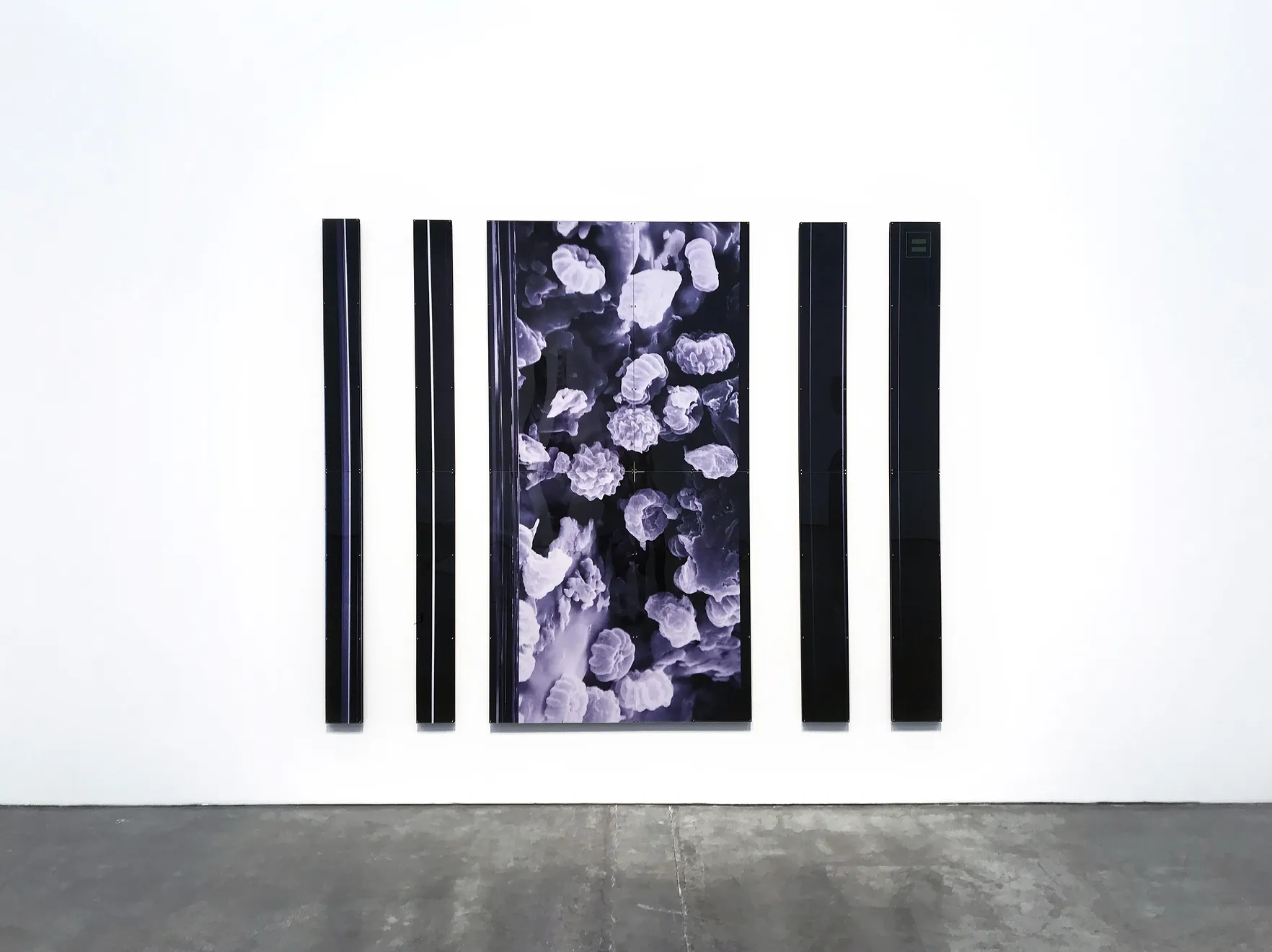 Sara Naim, Form 5, 2018, C-type digital print, wood, plexiglass, 239.2 x 300cm