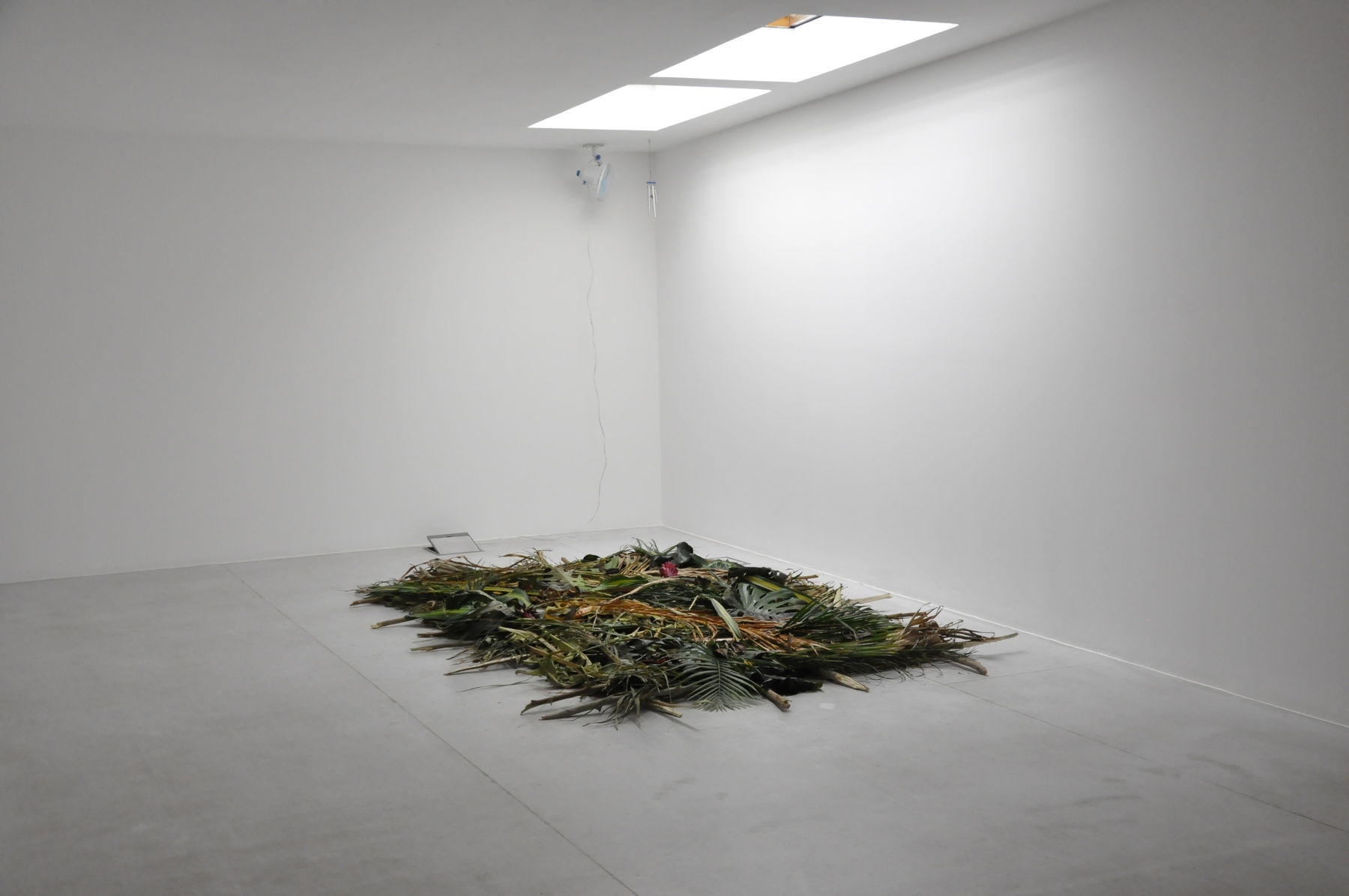 Abbas Akhavan, Study for a Curtain, 2015