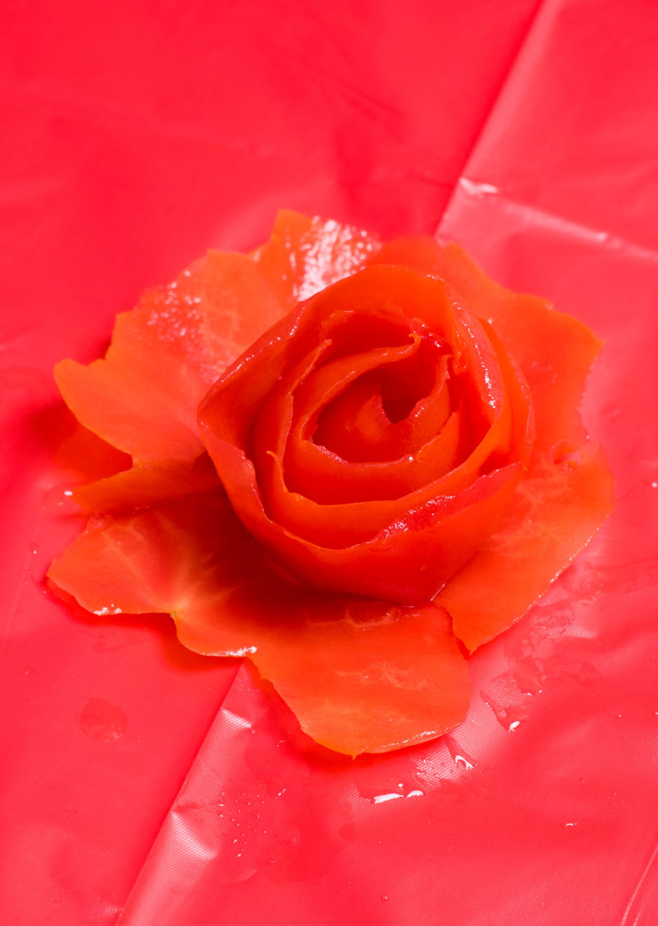 Farah Al Qasimi, Rose 1 (tomato), 2018