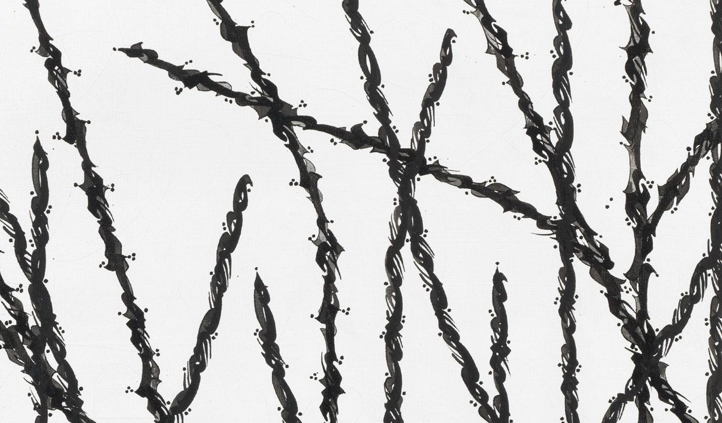 Pouran Jinchi, Derakht 24, 2002