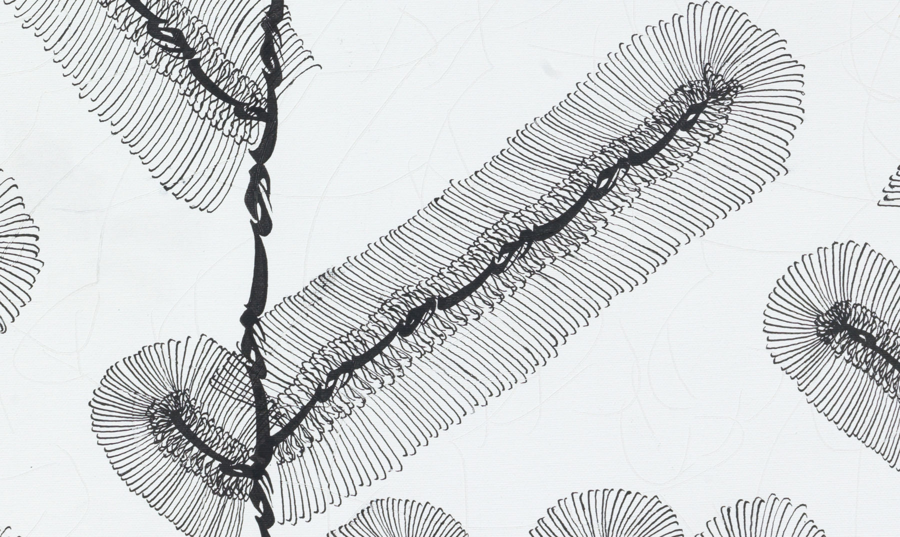 Pouran Jinchi, Derakht 26, 2002