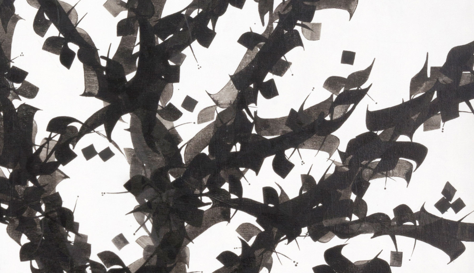 Pouran Jinchi, Derakht 15, 2002