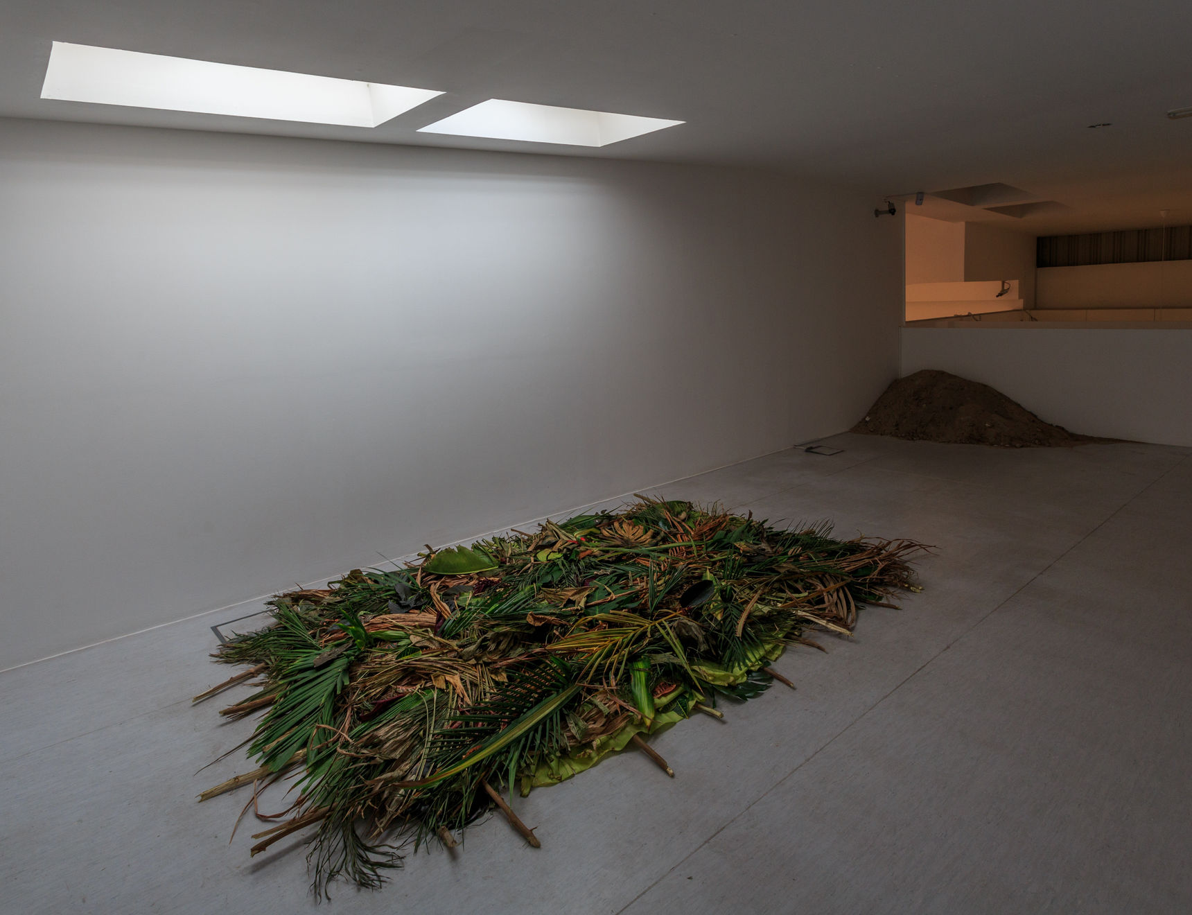 Abbas Akhavan, Study for a Curtain, 2015