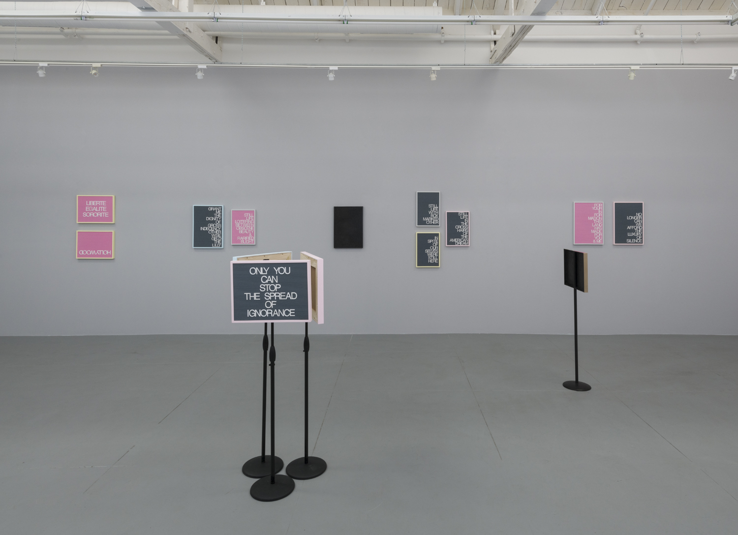 Installation view of "Absurdist Logic"