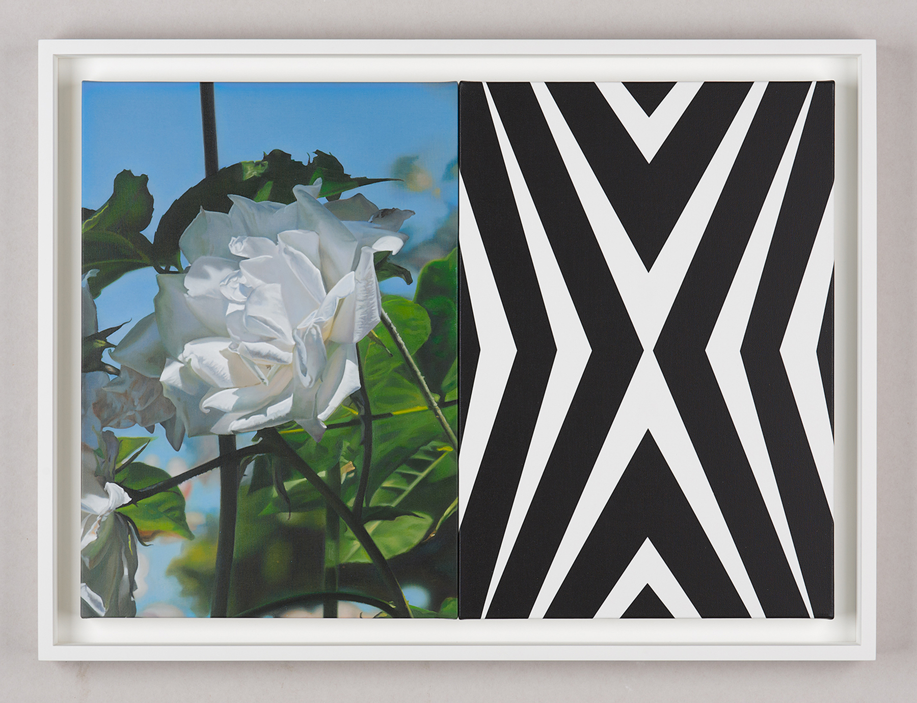 Mustafa Hulusi Abstract Rose 6B (S)