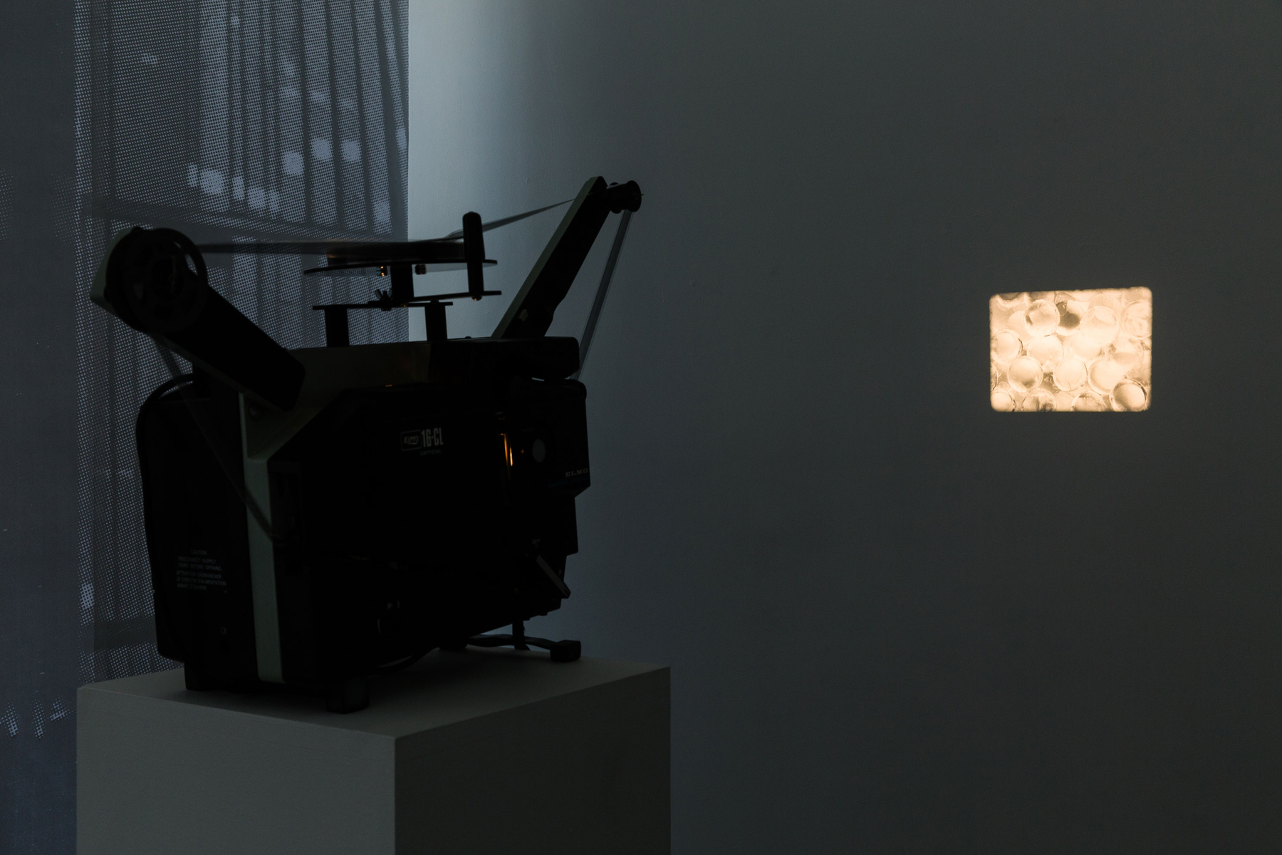 Cody Trepte, Remainder