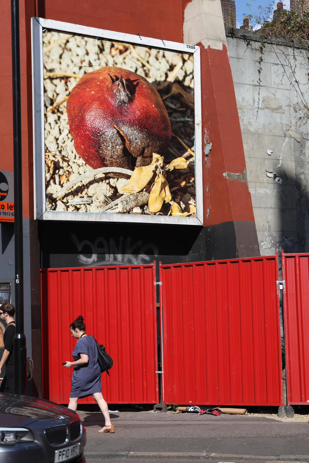 Mustafa Hulusi, Pomegranate
