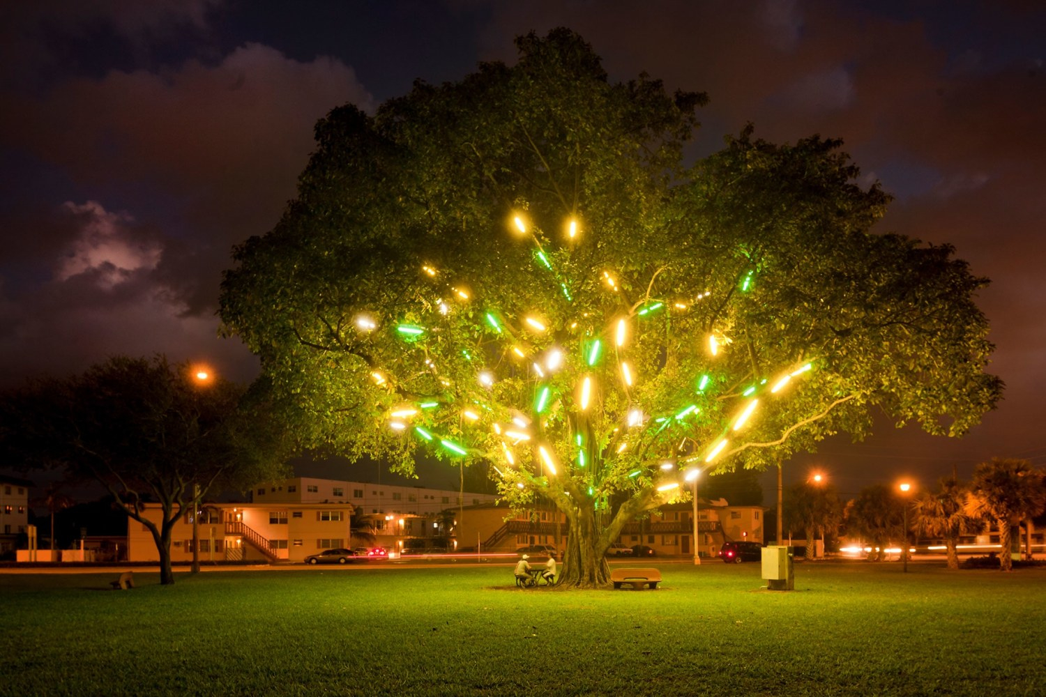 Art installation of neon lights installed in a tree