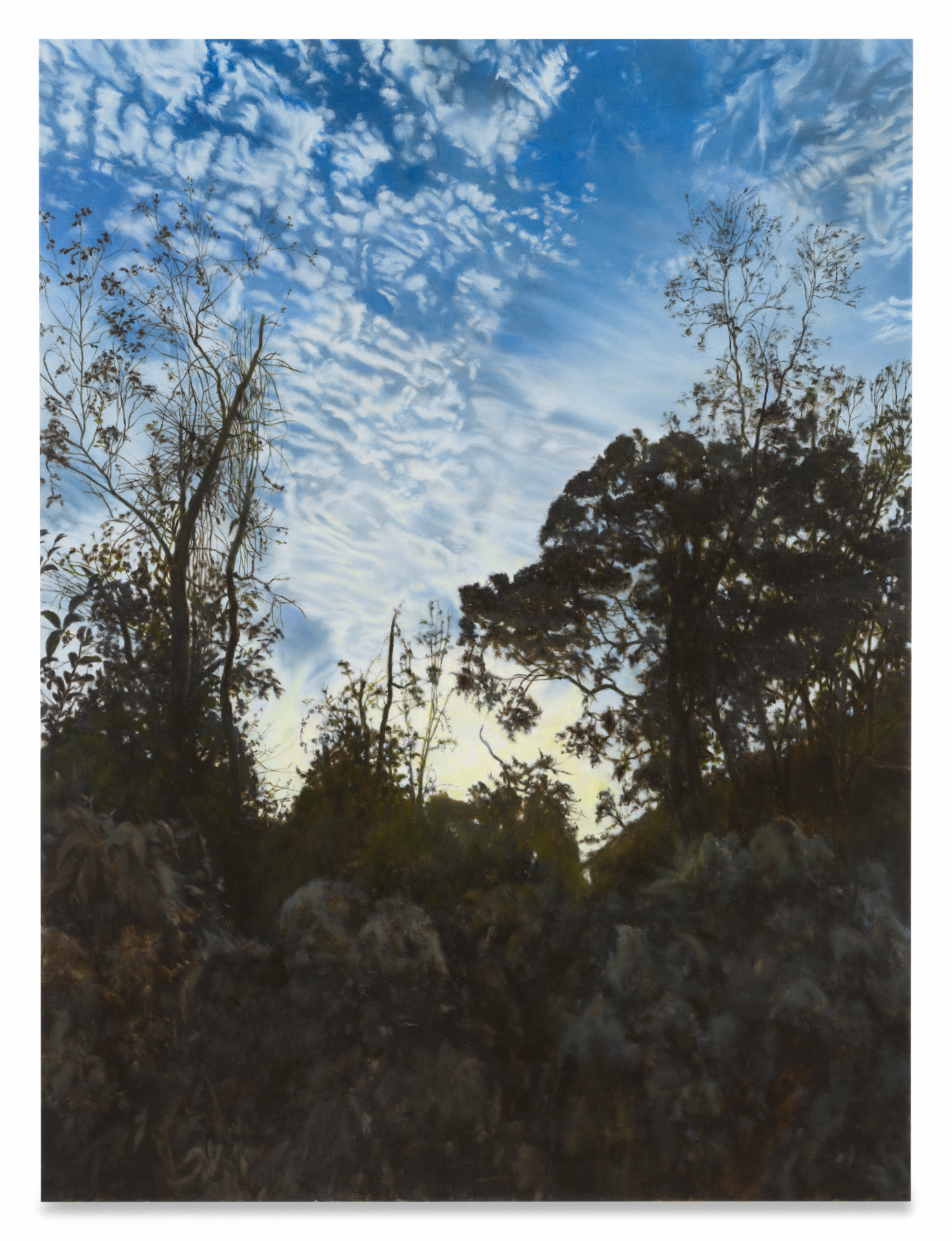 April Gornik,&amp;nbsp;The Palm at the End of the Mind, 2026,

Oil on linen, 56 &amp;times; 42 inches.