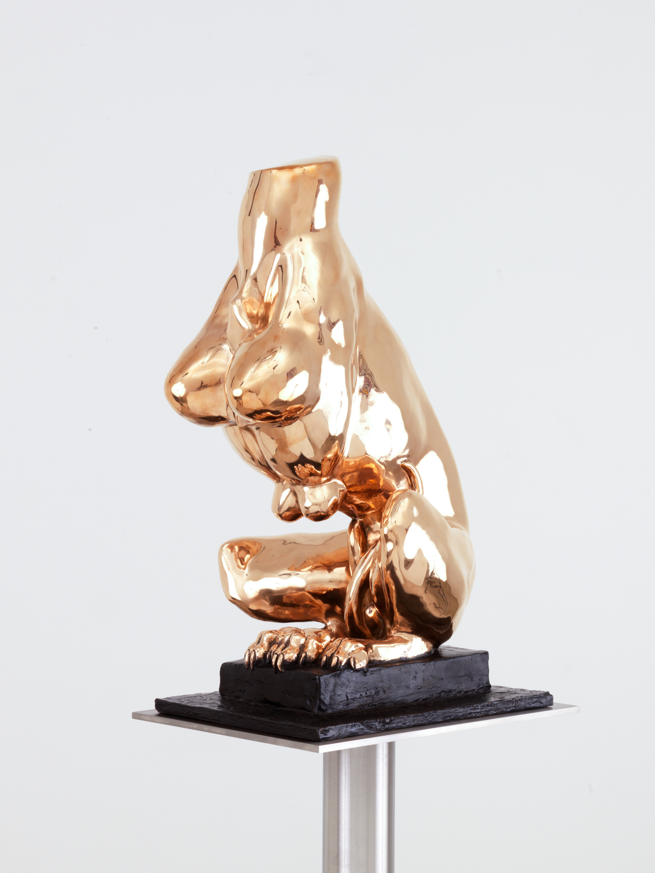 BO.14983 Nature Study (3,4)