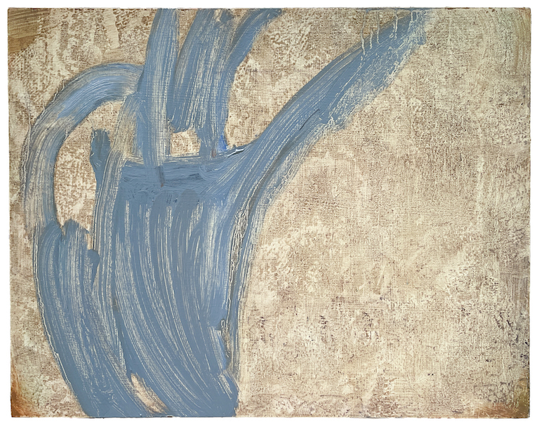 PS.432639 Natural History