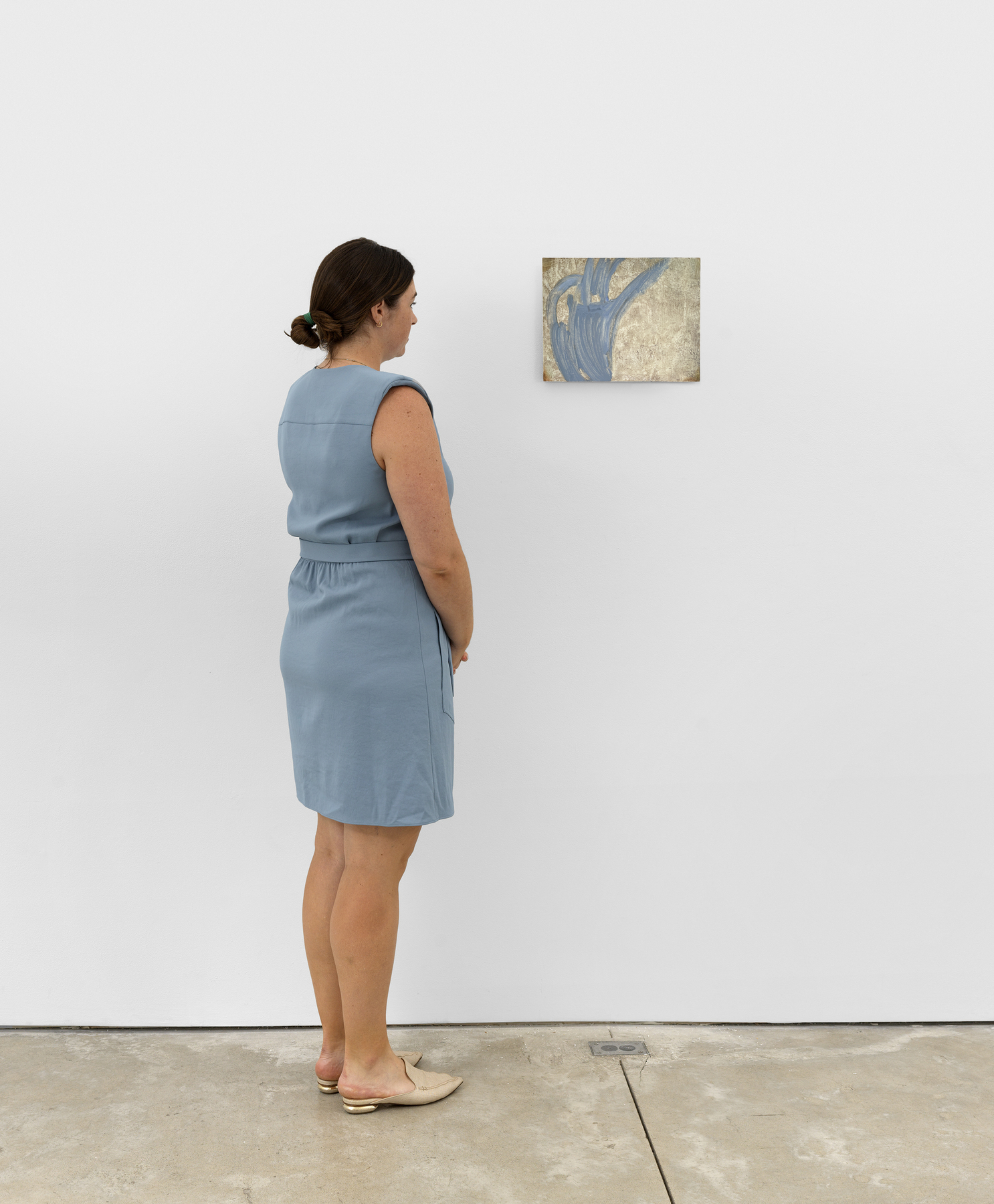 PS.432639 Natural History