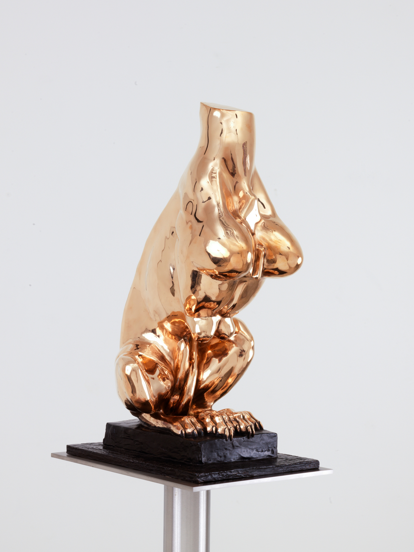 BO.14983 Nature Study (1,2)