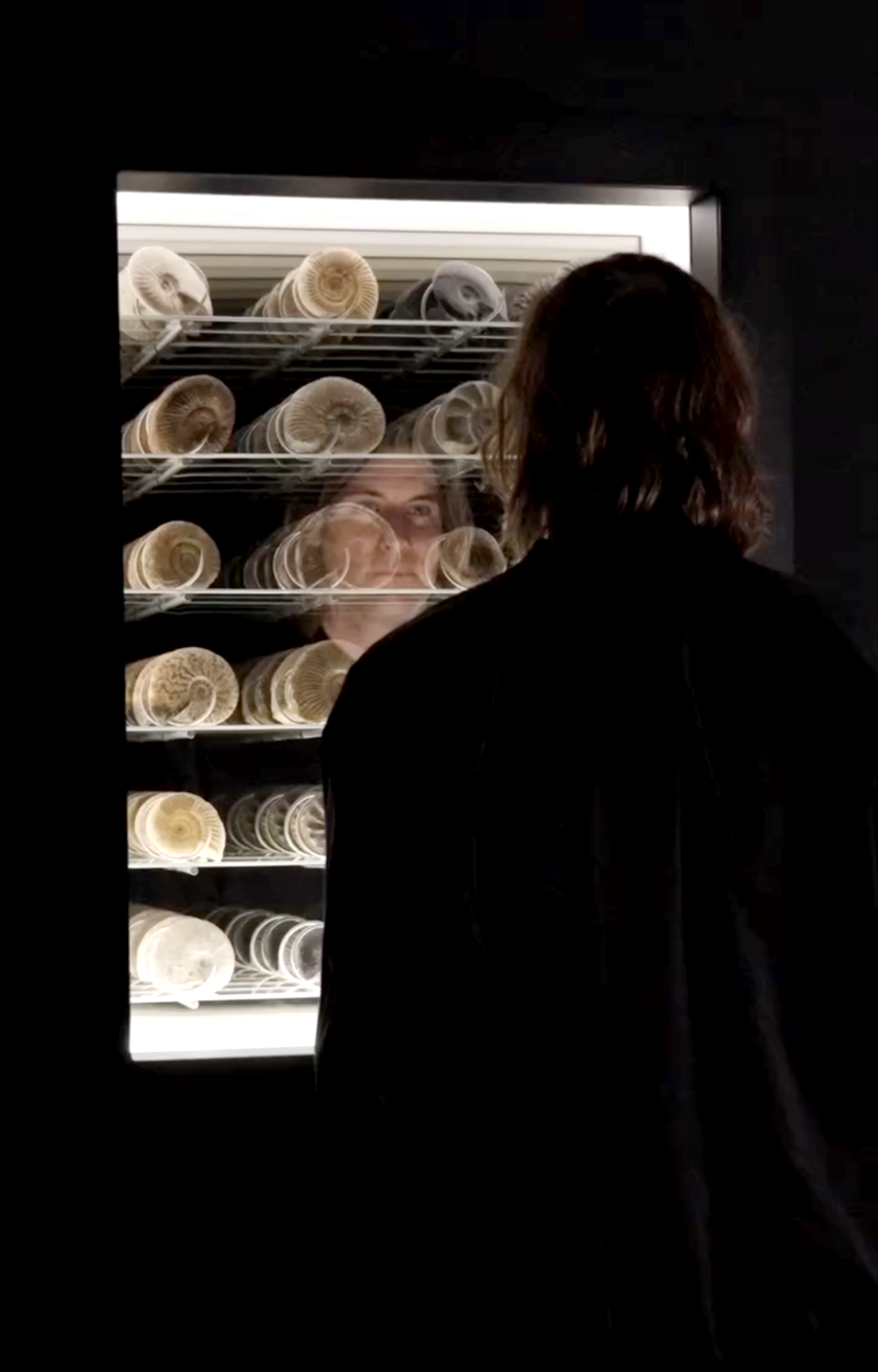 Sean Kelly Artists in Venice 2026 -  - Viewing Room - Sean Kelly Gallery - Online Exhibition