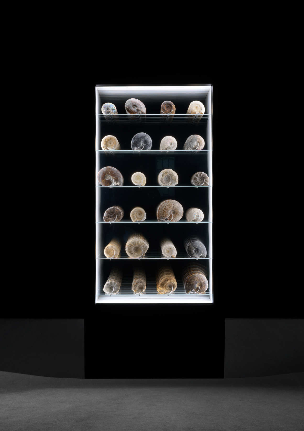 Sean Kelly Artists in Venice 2026 -  - Viewing Room - Sean Kelly Gallery - Online Exhibition