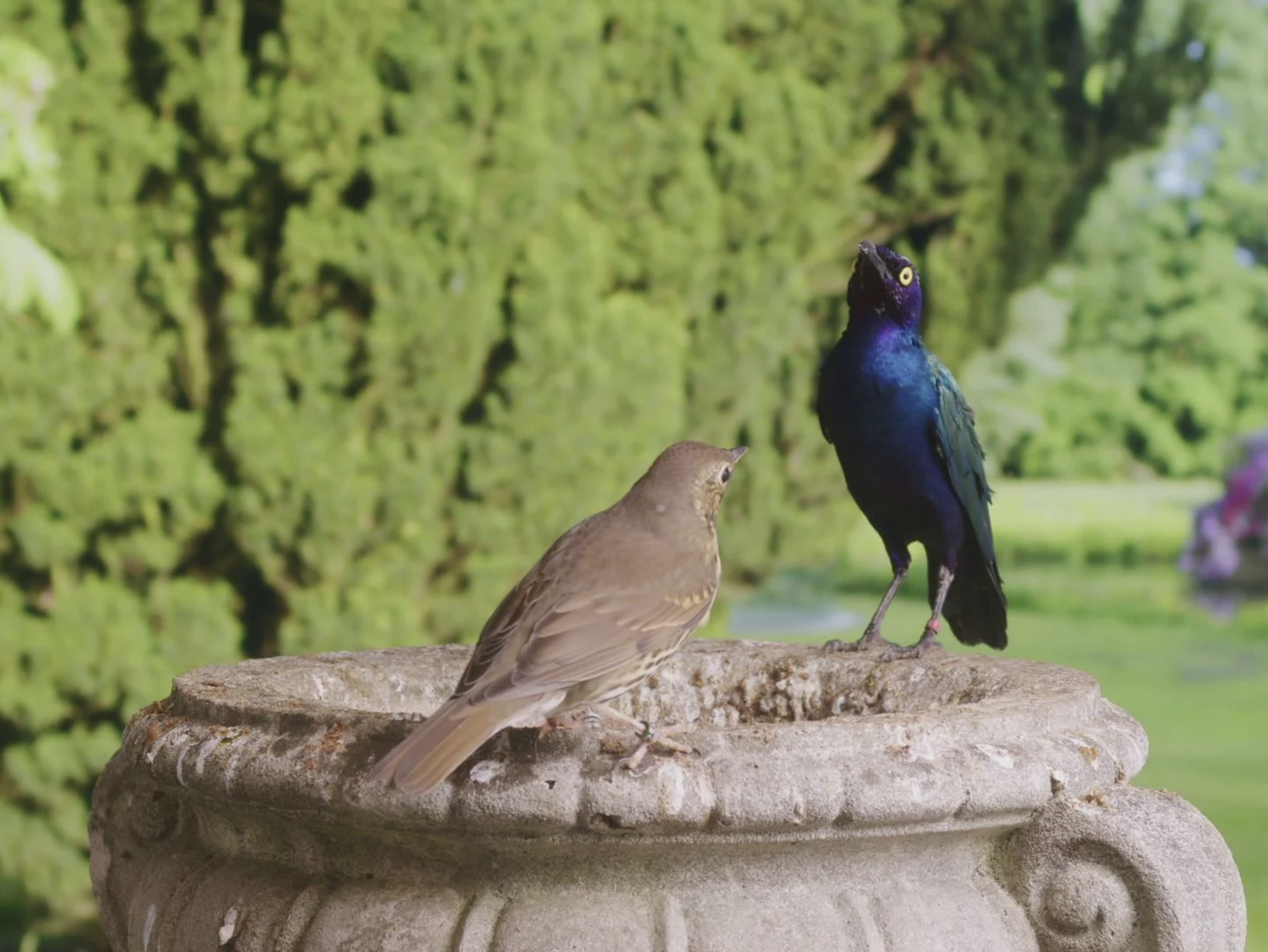 Sean Kelly Artists in Venice 2024 -  - Viewing Room - Sean Kelly Gallery - Online Exhibition