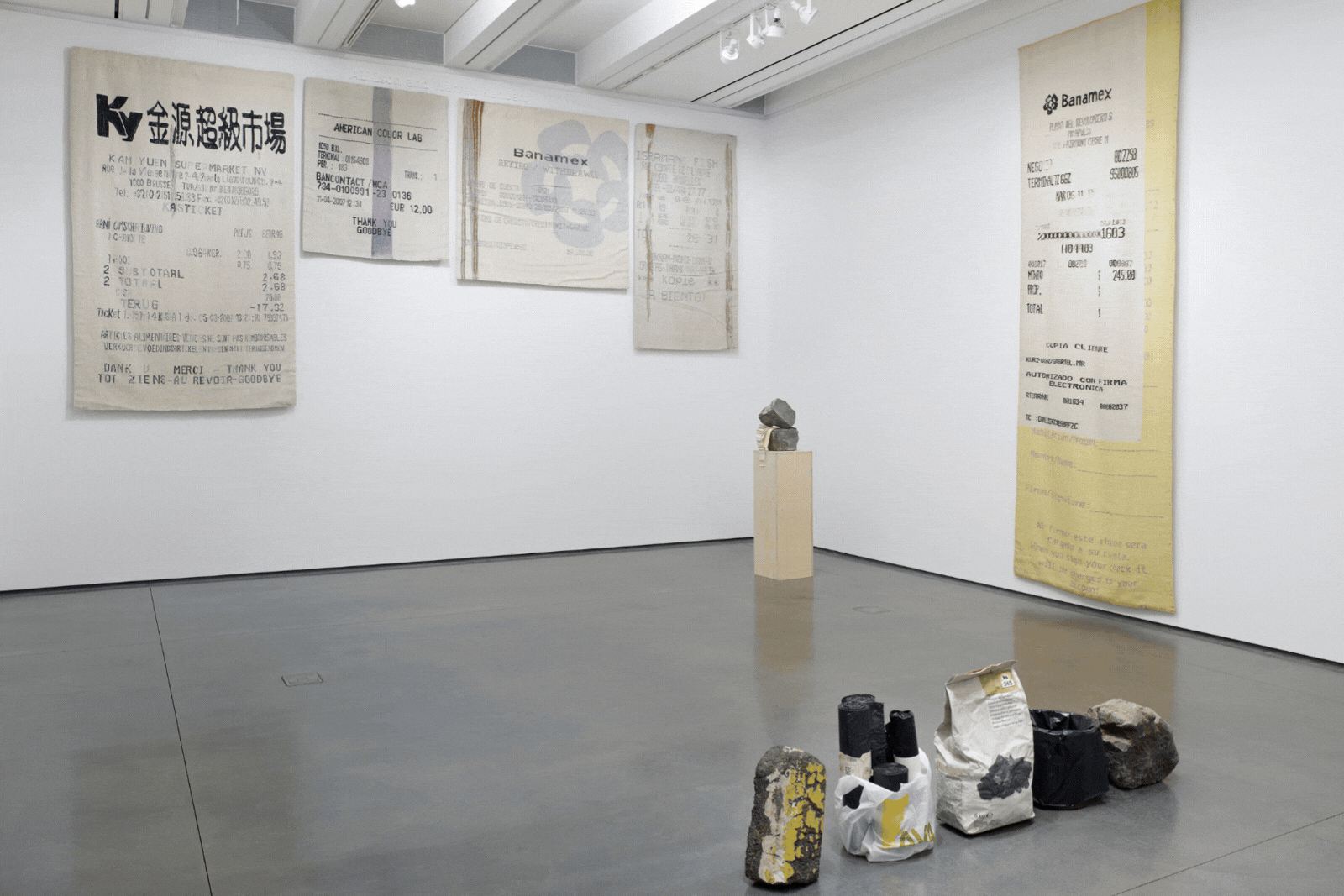 Vistas de instalaci&amp;oacute;n de Gabriel Kuri: with personal thanks to their contractual thingness, Aspen Art Museum, Colorado, 2014