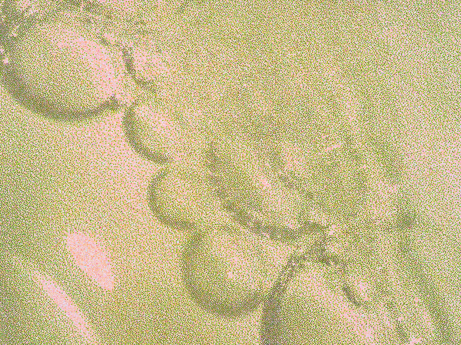 Art Basel 2025 -  - Viewing Rooms - Paula Cooper Gallery