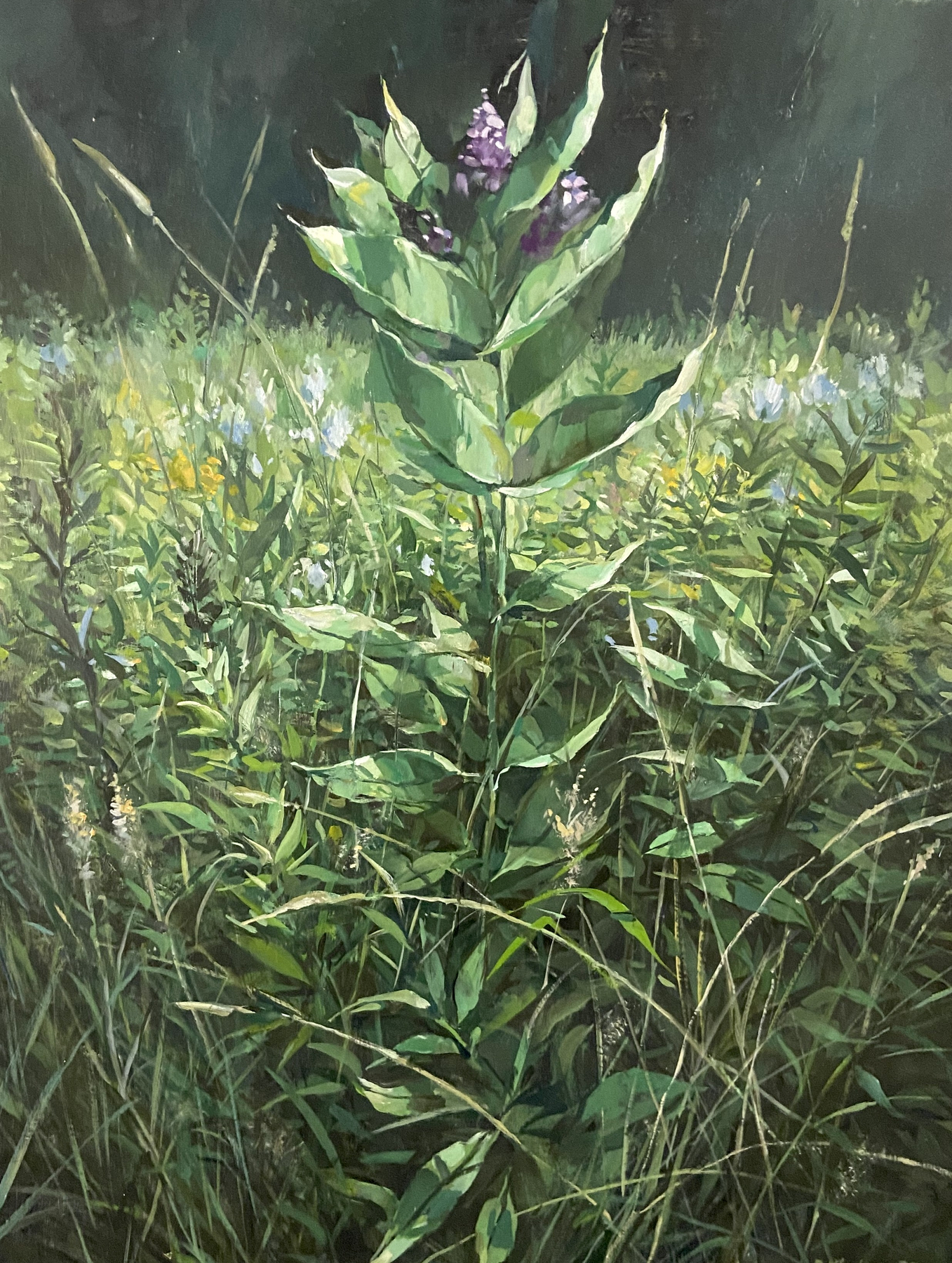 Milkweed Afternoon, Oil on wood, 24&amp;quot; x 18&amp;quot;