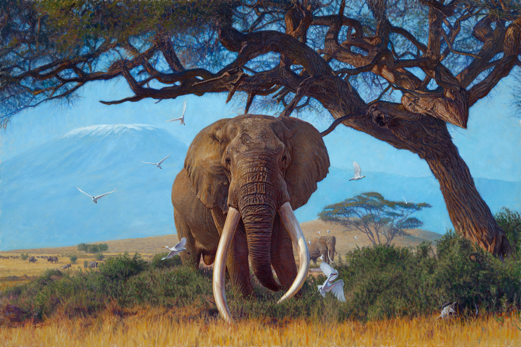 2026 Collection - John Banovich 2026 Collection - Viewing Room - John Banovich Viewing Room