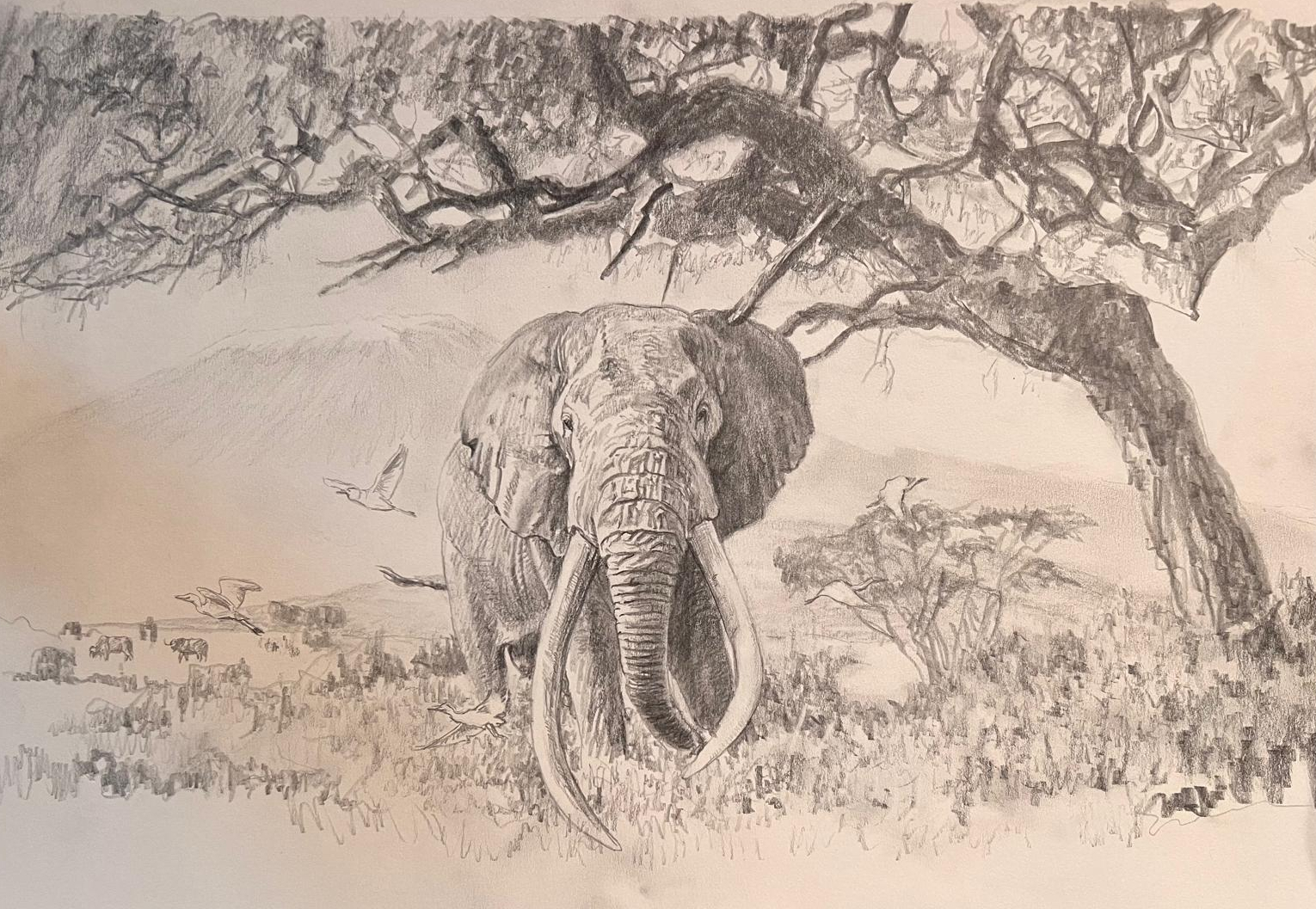 2026 Collection - John Banovich 2026 Collection - Viewing Room - John Banovich Viewing Room