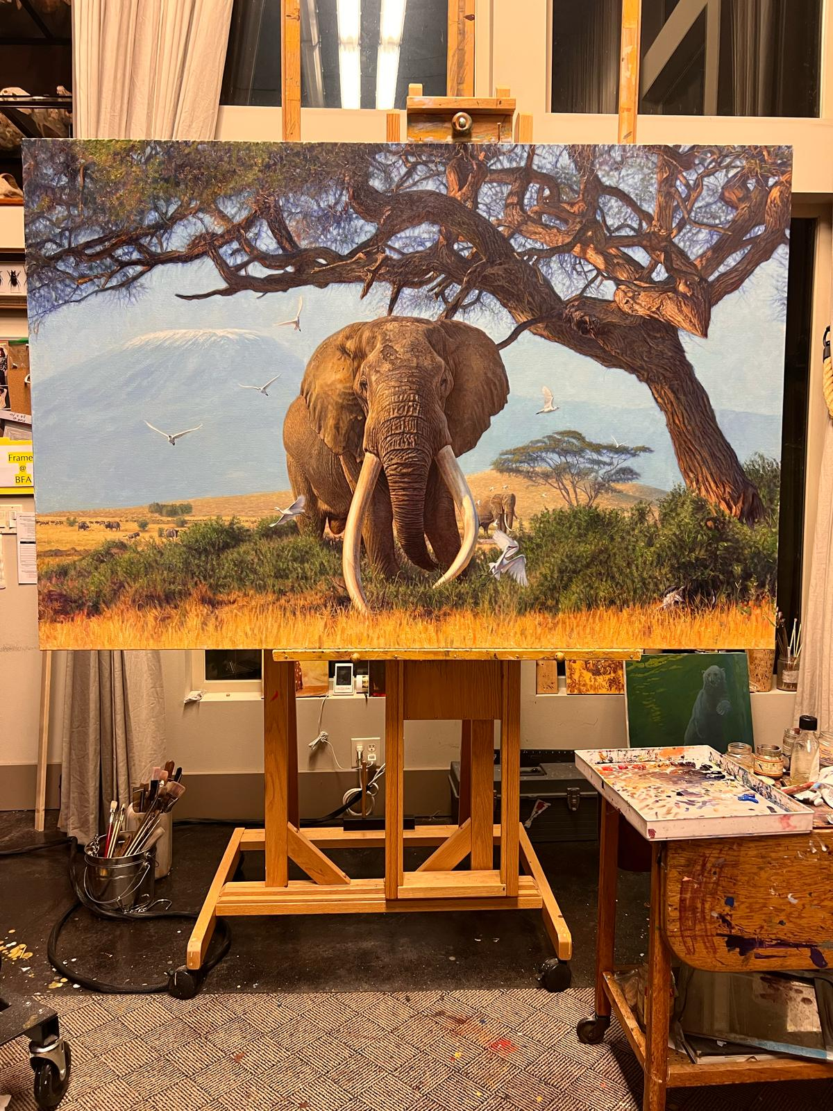 2026 Collection - John Banovich 2026 Collection - Viewing Room - John Banovich Viewing Room