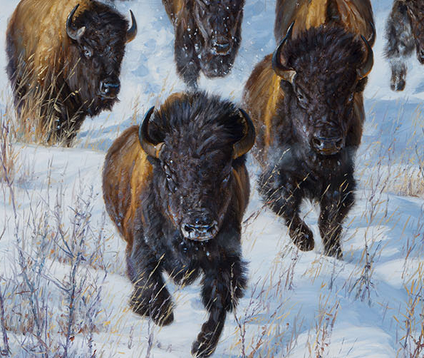 2026 Collection - John Banovich 2026 Collection - Viewing Room - John Banovich Viewing Room