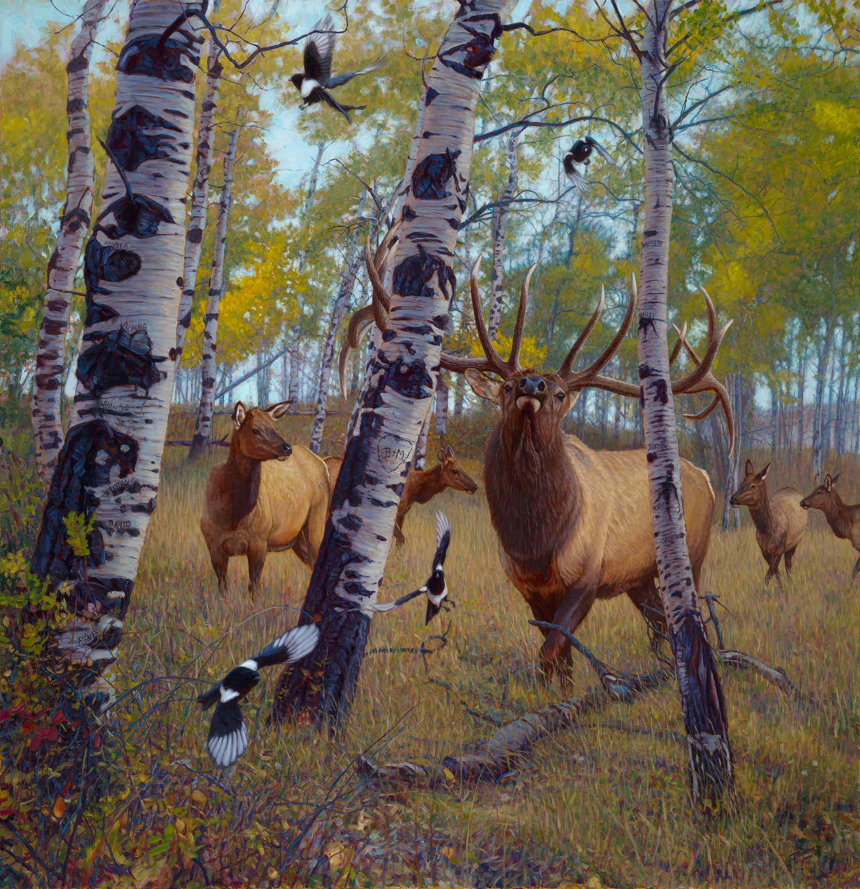 2026 Collection - John Banovich 2026 Collection - Viewing Room - John Banovich Viewing Room