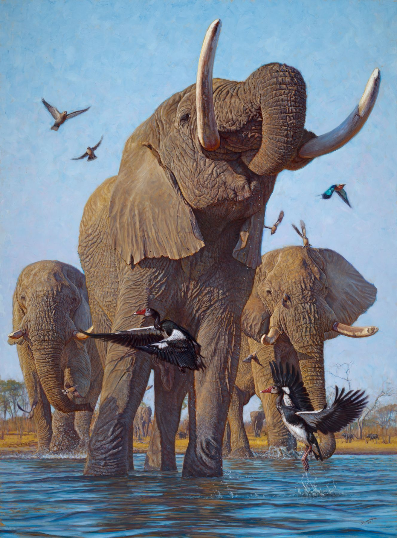 2026 Collection - John Banovich 2026 Collection - Viewing Room - John Banovich Viewing Room