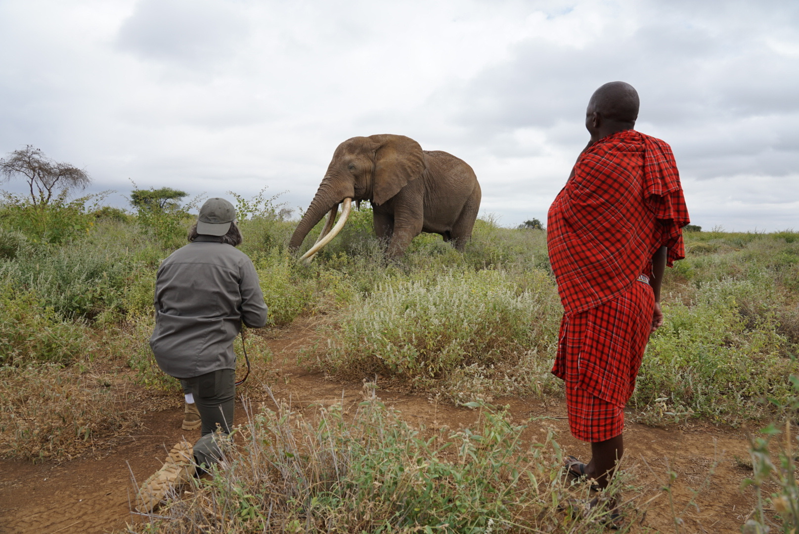 2026 Collection - John Banovich 2026 Collection - Viewing Room - John Banovich Viewing Room