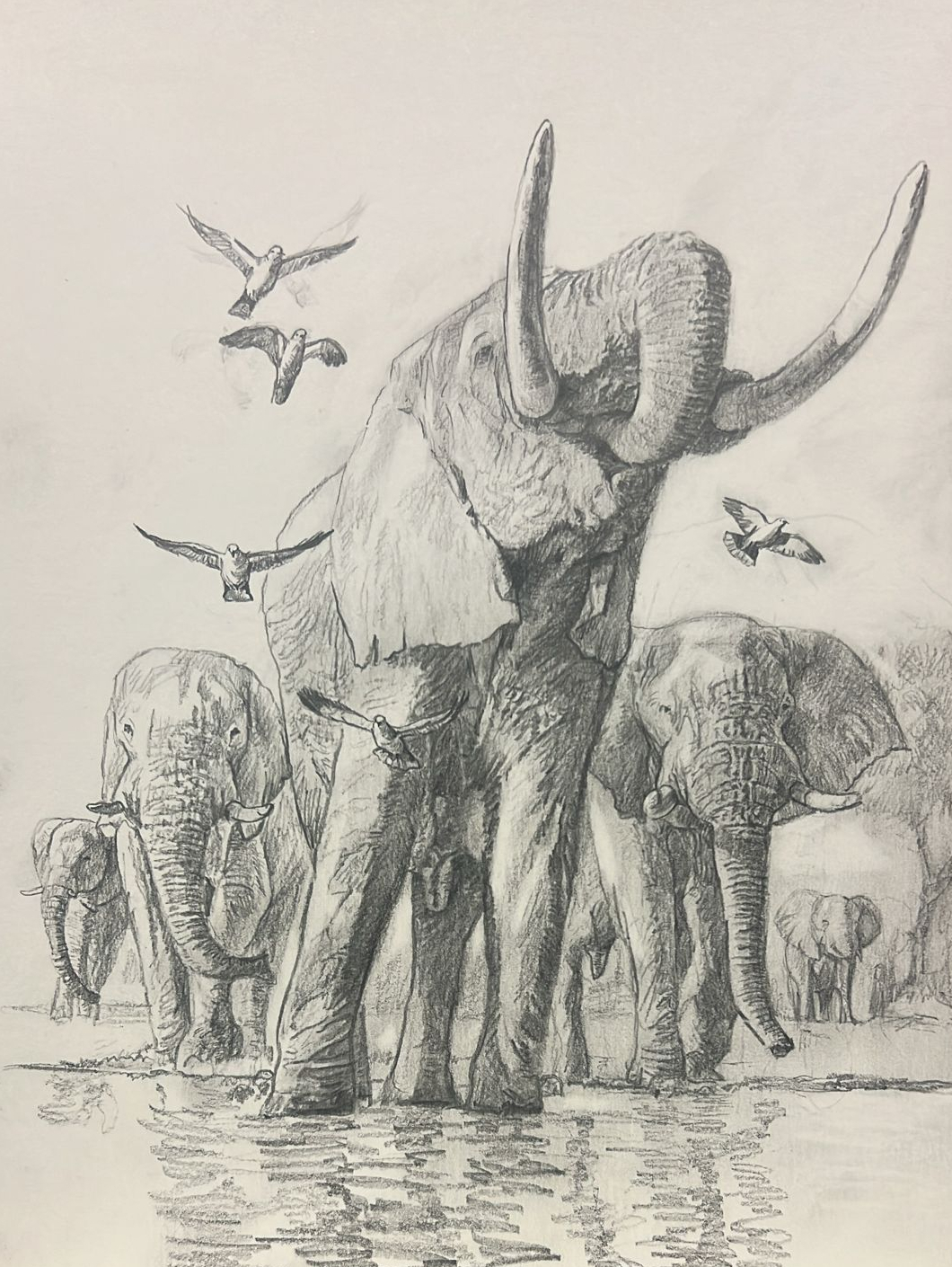 2026 Collection - John Banovich 2026 Collection - Viewing Room - John Banovich Viewing Room