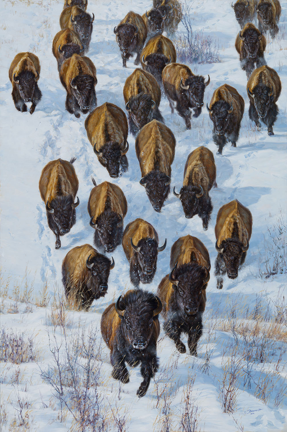 2026 Collection - John Banovich 2026 Collection - Viewing Room - John Banovich Viewing Room