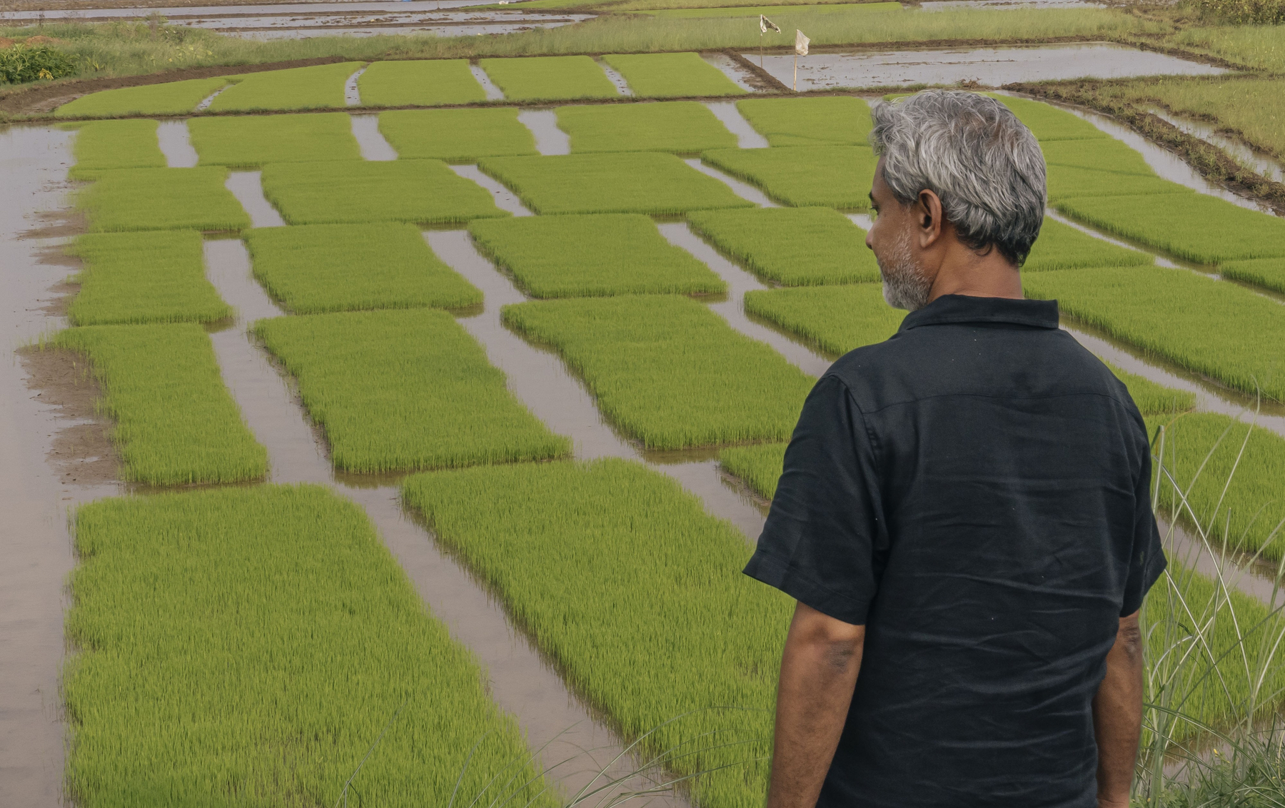 Ranjani Shettar and Alwar Balasubramaniam - Exhibitions - Talwar Gallery