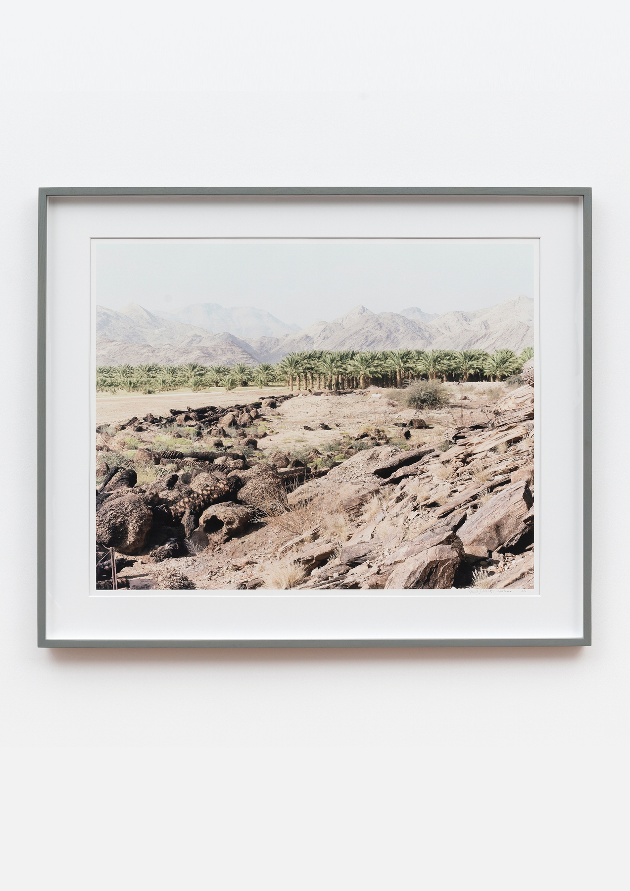 Cape Town Art Fair 2025 | Preview -  - Viewing Room - Goodman Gallery