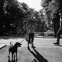 Filou, Alexander, NYC