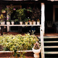 Flowers and Porch, near Morgan Springs, Alabama
