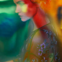 Rainbow Smear, The Tapestry