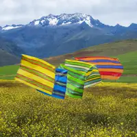 Sacos no. 1, Maras, Peru