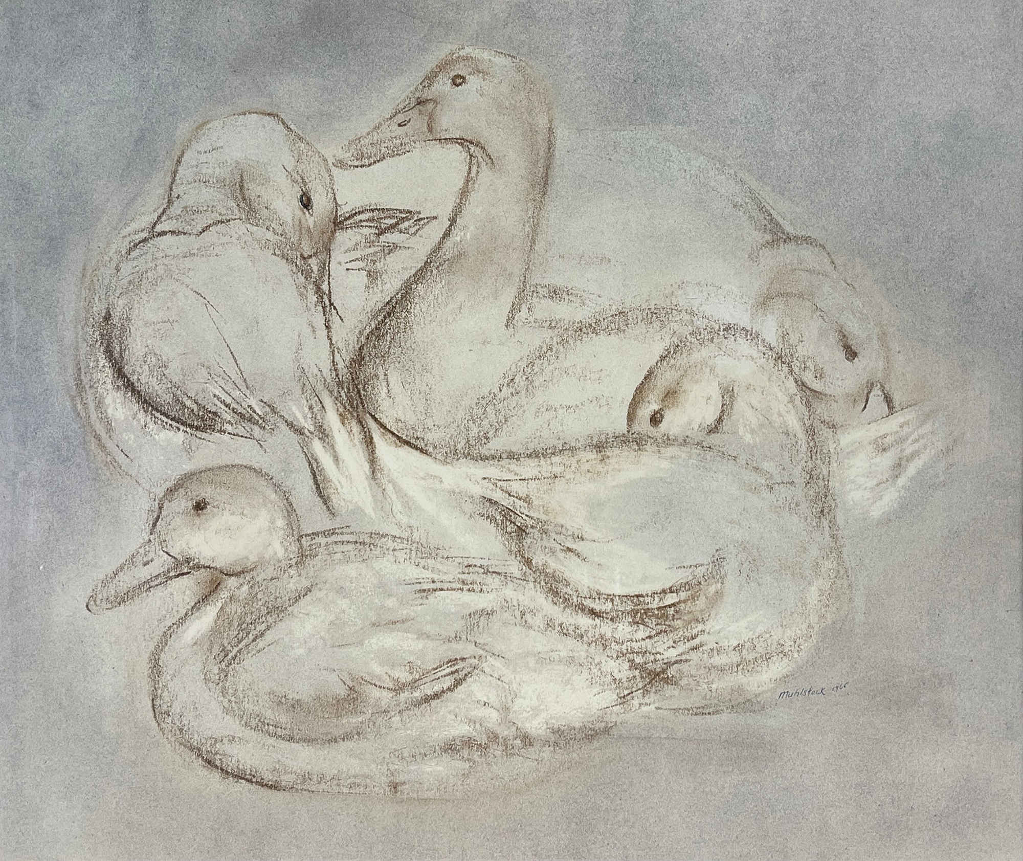 Study of Ducks