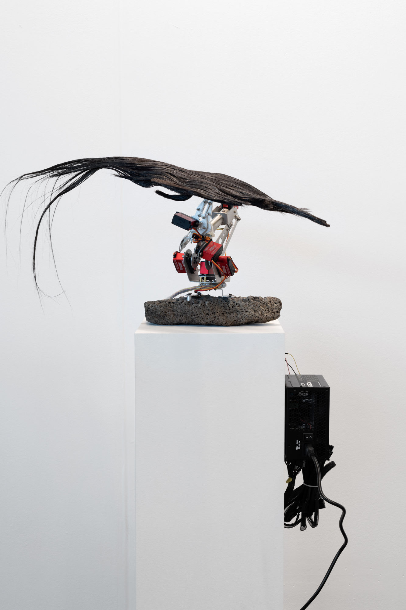 Samuel Guerrero, Flor (Flower), 2022