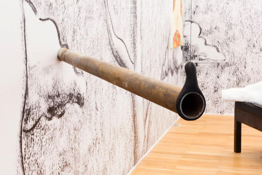 Adriano Costa, Sem título, 2016