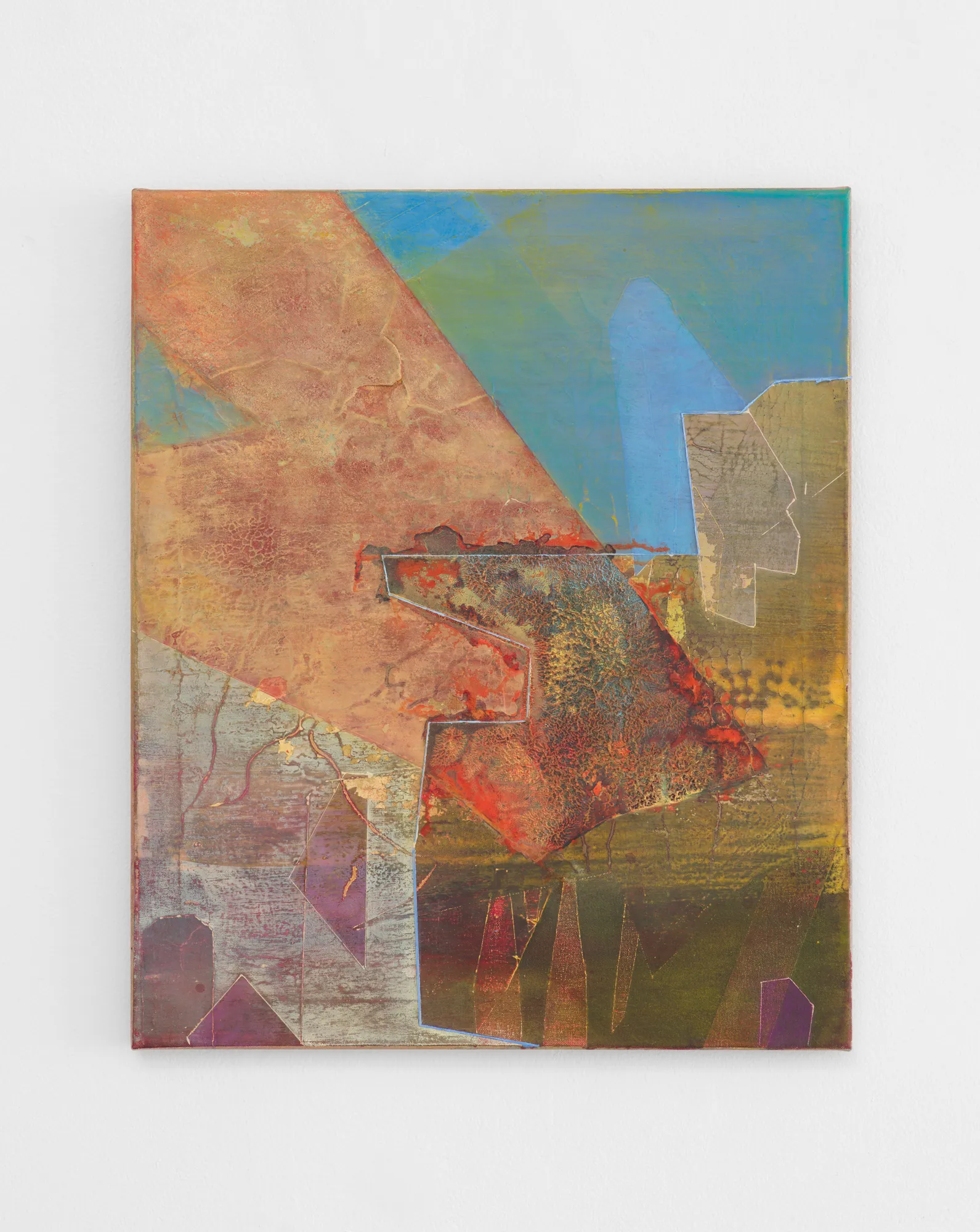 Jan Dickey, Flame-tanager, 2025