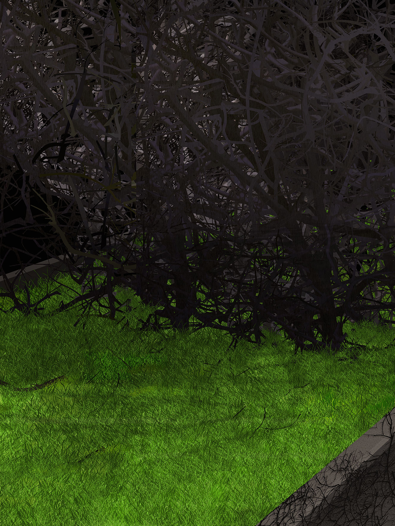 Arash Hanaei, Untitled 4 from the series [in the night garden]: Light a fire under your skin, 2022