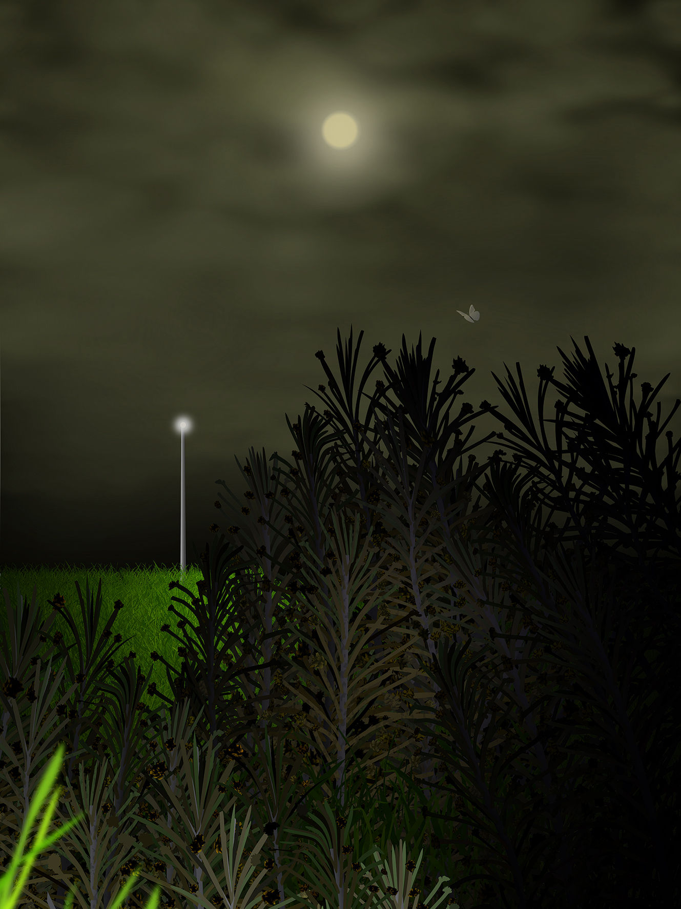 Arash Hanaei, Untitled 2 from the series [in the night garden]: Light a fire under your skin, 2022