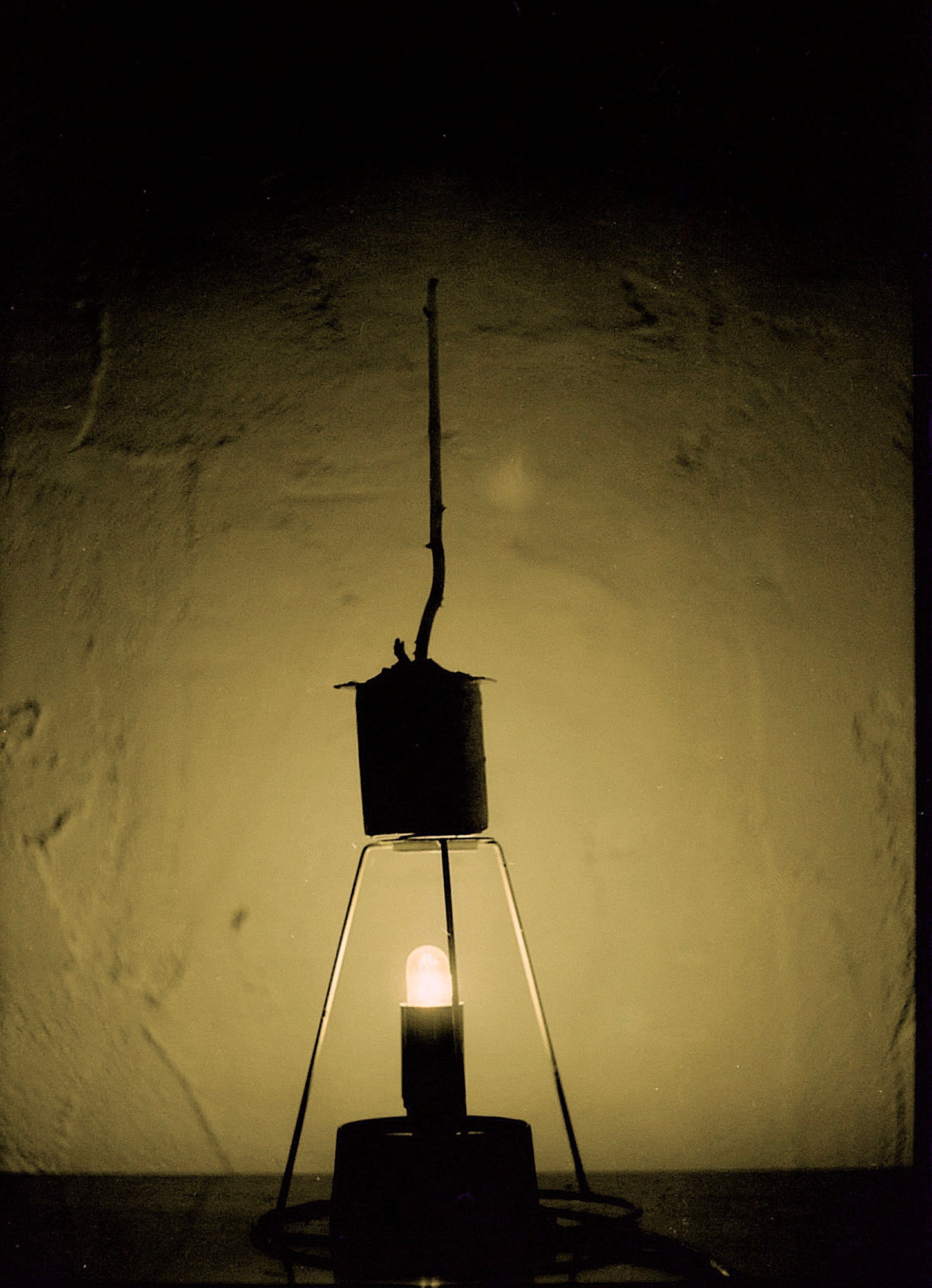 Antonio Ortega, Register (Indoor), 1994-1996