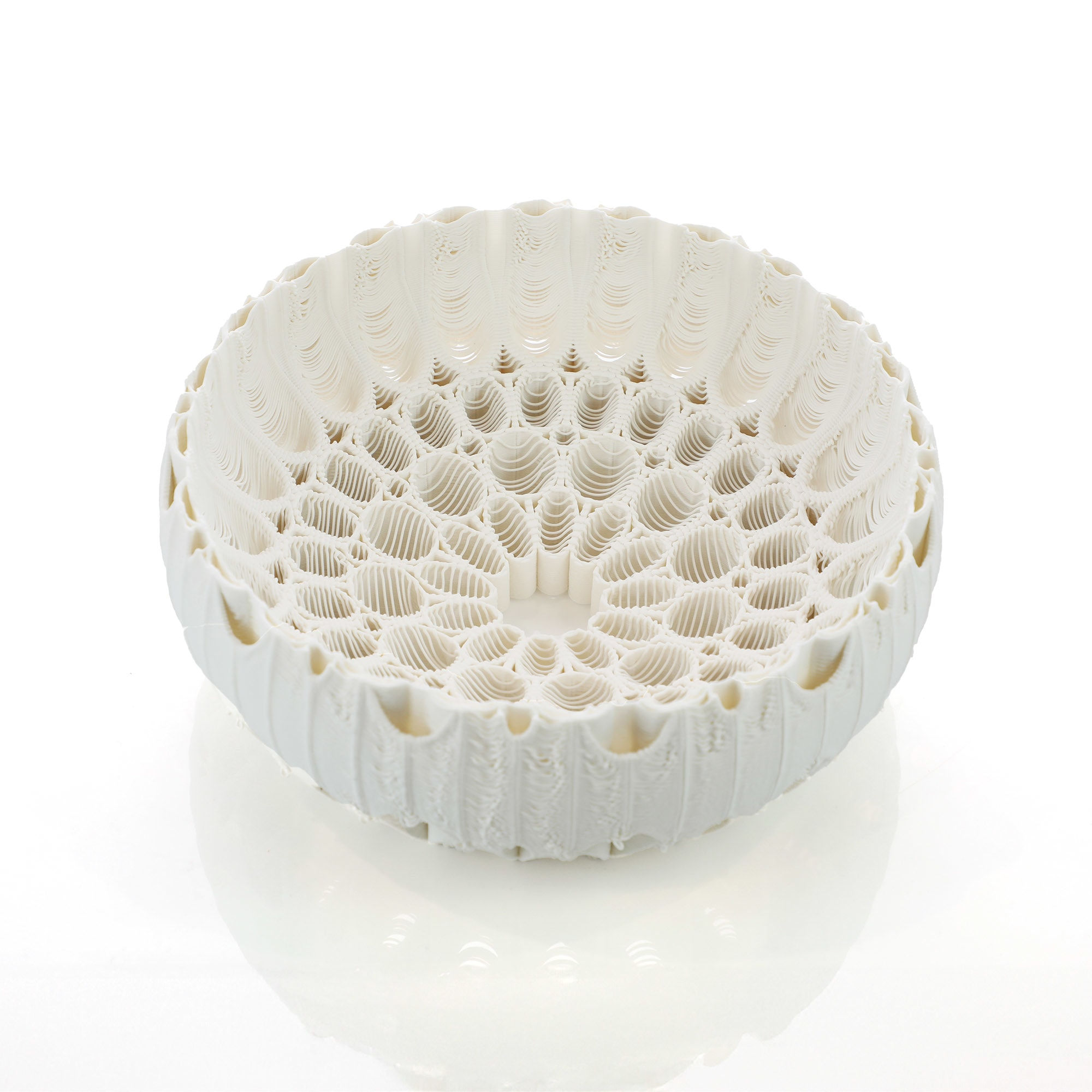 Nico Conti, Filigree of Light: Gentle Loops, 2024