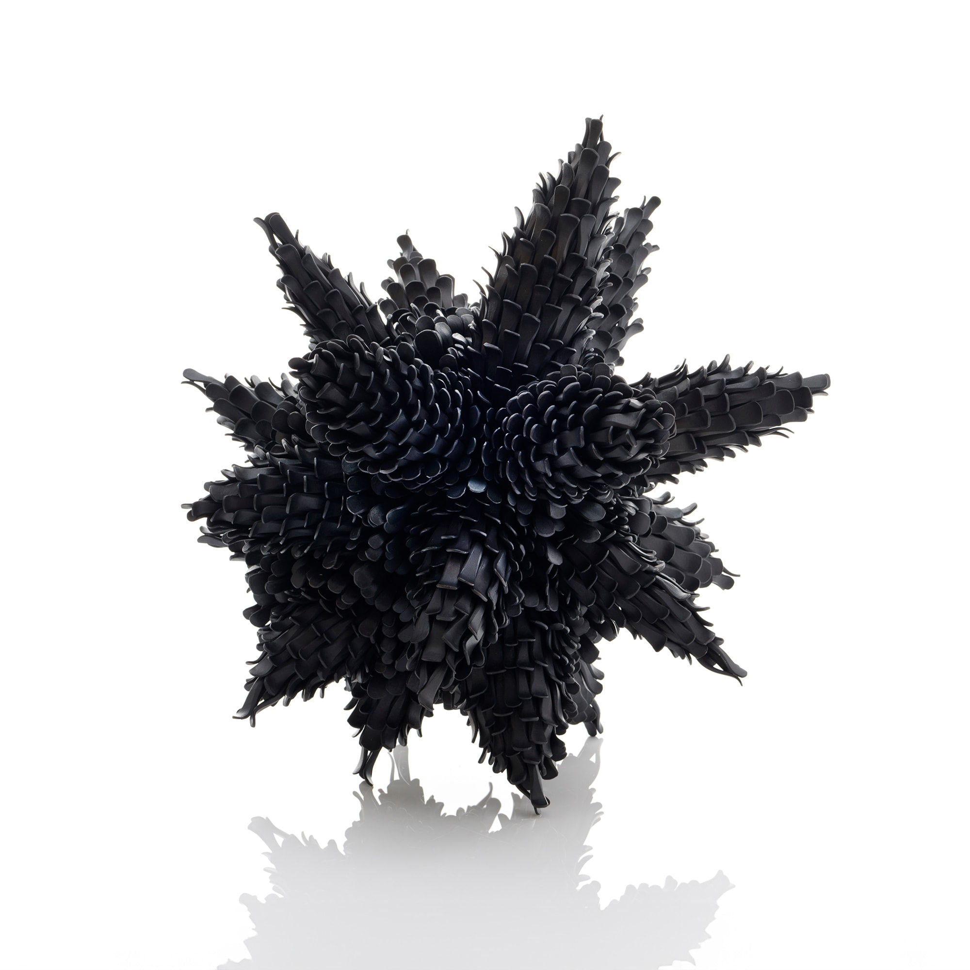 Junko Mori, Propagation Project; Multiple Pinecone, 2024